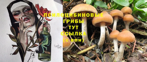 гидра Белоозёрский
